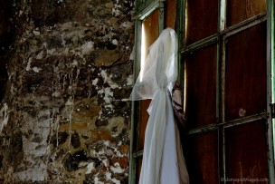 Bride with a dove waiting for the groom