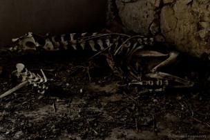 All things must die