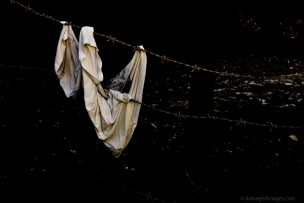 On the barbed wire