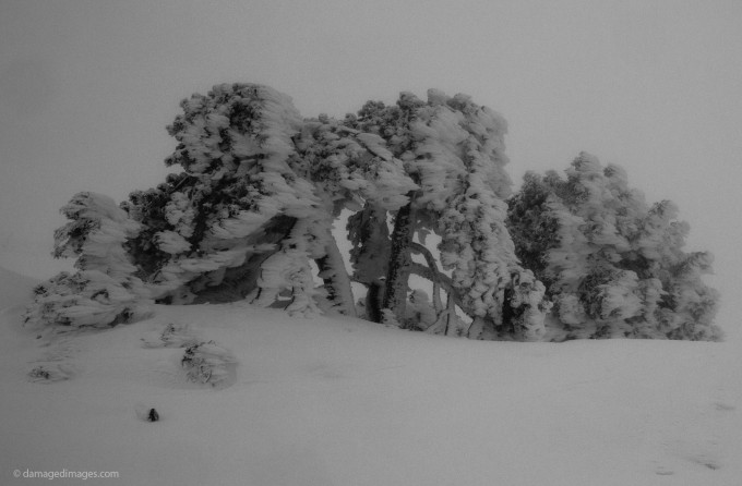 Cold