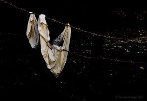 On the barbed wire